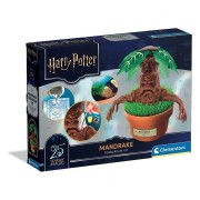 HARRY POTTER KIT TERRARIUM - MADRAGOLA