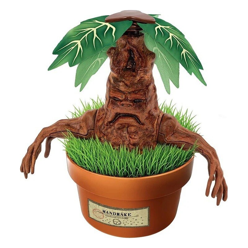 HARRY POTTER KIT TERRARIUM - MADRAGOLA