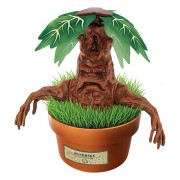 HARRY POTTER KIT TERRARIUM - MADRAGOLA