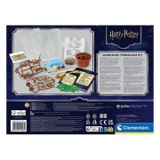 HARRY POTTER KIT TERRARIUM - MADRAGOLA