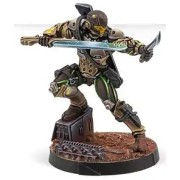 Hassassin Expansion Pack Alpha - Infinity (Inglés)