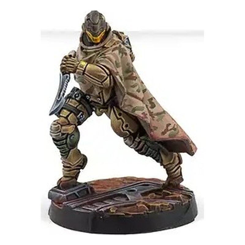 Hassassin Expansion Pack Alpha - Infinity (Inglés)