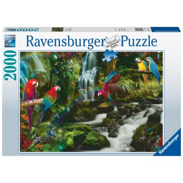 Puzzle 2000 pz: El paraíso de los loros