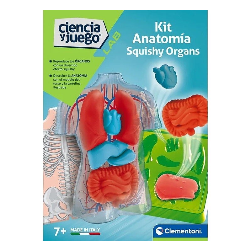 KIT ANATOMIA - SQUISHY ORGANOS