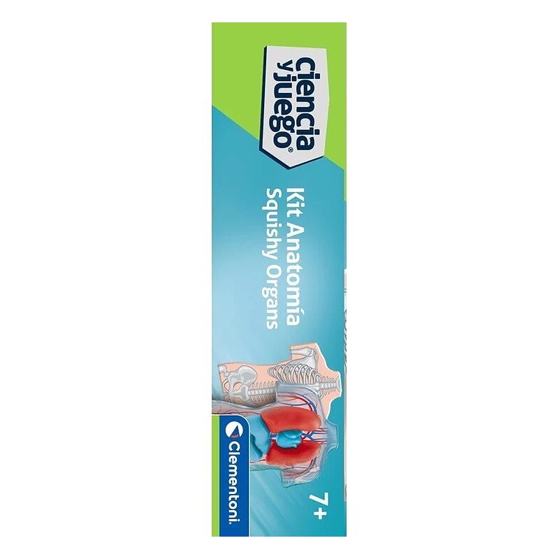 KIT ANATOMIA - SQUISHY ORGANOS
