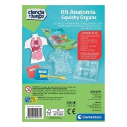 KIT ANATOMIA - SQUISHY ORGANOS