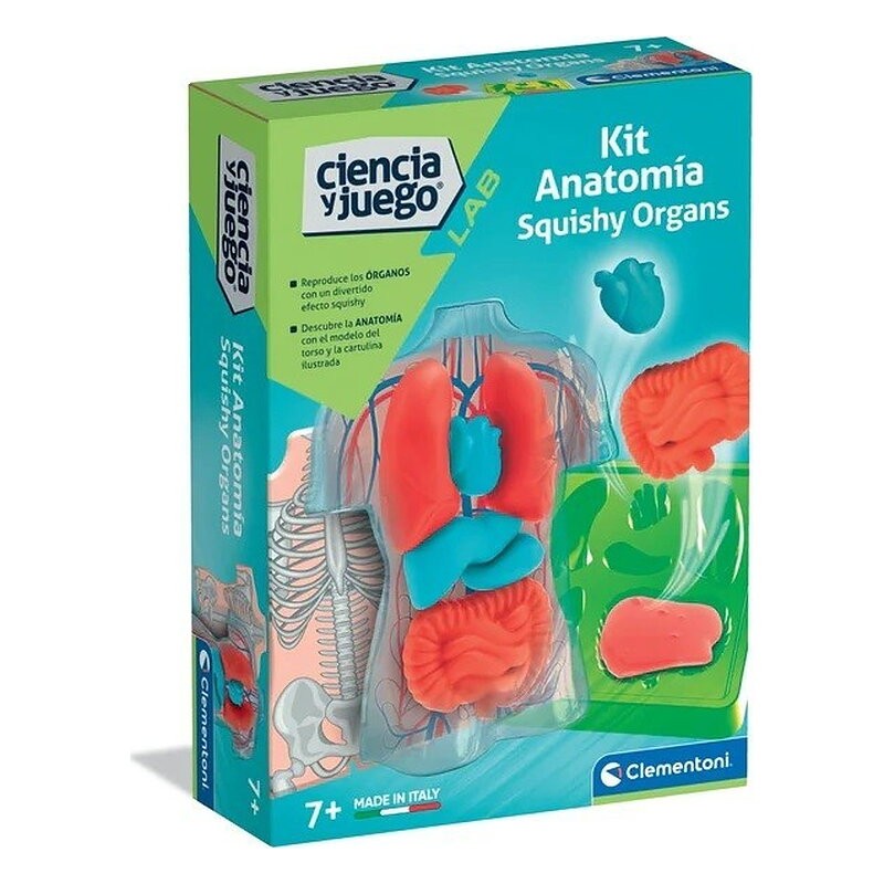 KIT ANATOMIA - SQUISHY ORGANOS