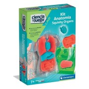 KIT ANATOMIA - SQUISHY ORGANOS