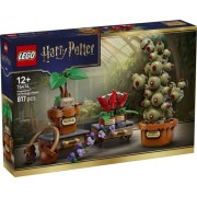LEGO HARRY POTTER - HOGWARTS™: PLANTAS DE HERBOLOGIA