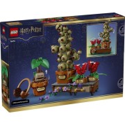LEGO HARRY POTTER - HOGWARTS™: PLANTAS DE HERBOLOGIA