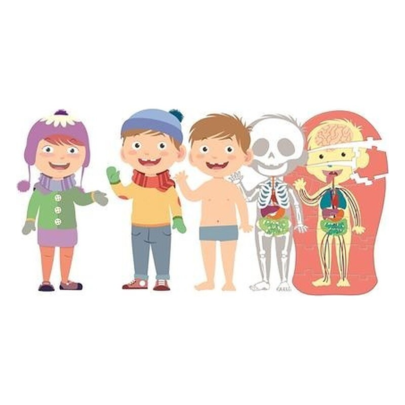 EDUCATION CLEMENTONI - EL CUERPO HUMANO