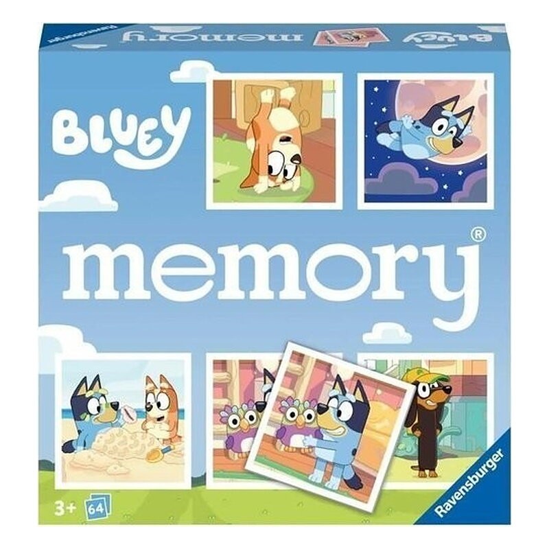 Memory Bluey