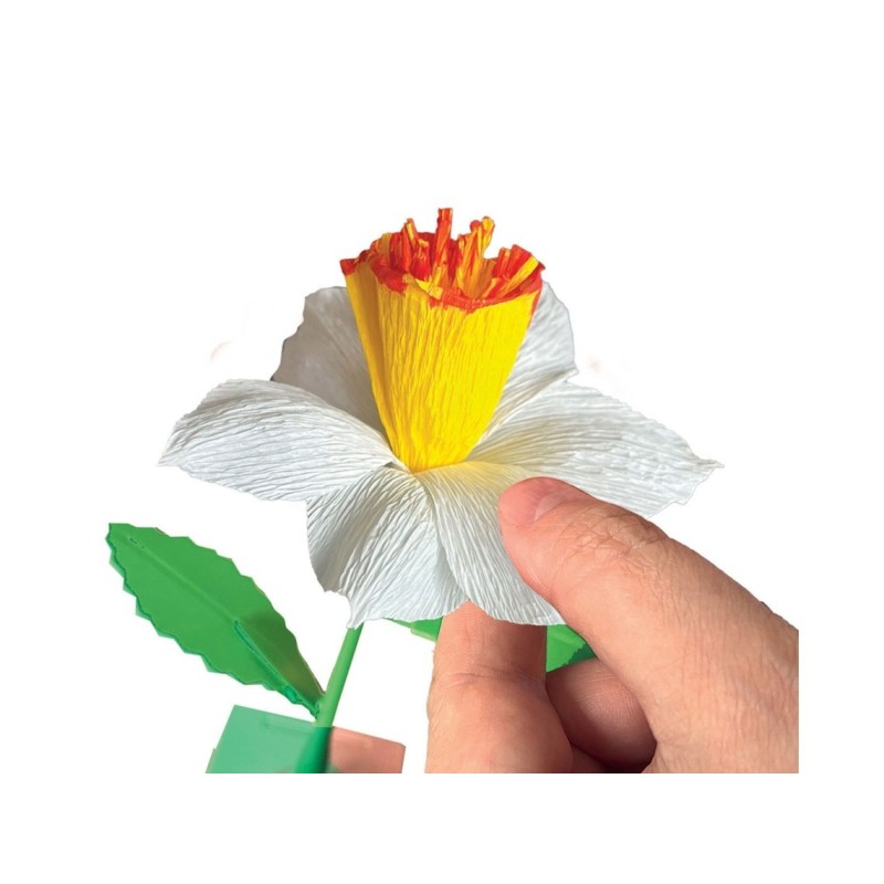 IDEA CLEMENTONI - LABORATORIO CREA TUS FLORES