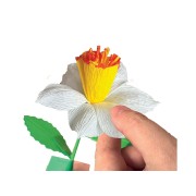 IDEA CLEMENTONI - LABORATORIO CREA TUS FLORES