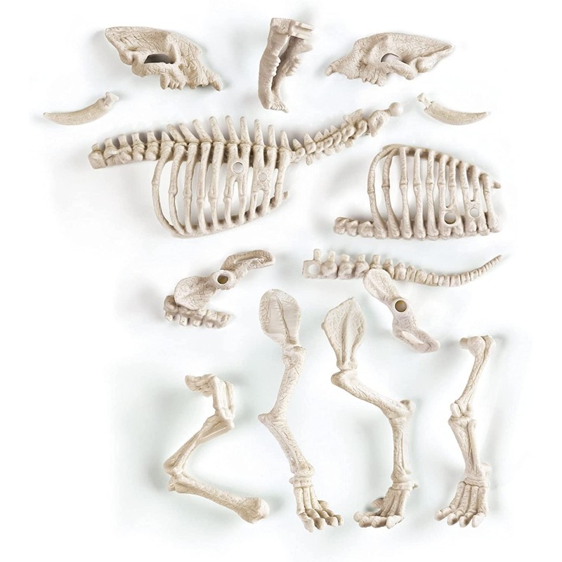 ARQUEOJUGANDO SMILODON FLUORESCENTE