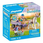 HORSE OF WATERFALL CARRUAJE CON PONI
