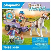 HORSE OF WATERFALL CARRUAJE CON PONI