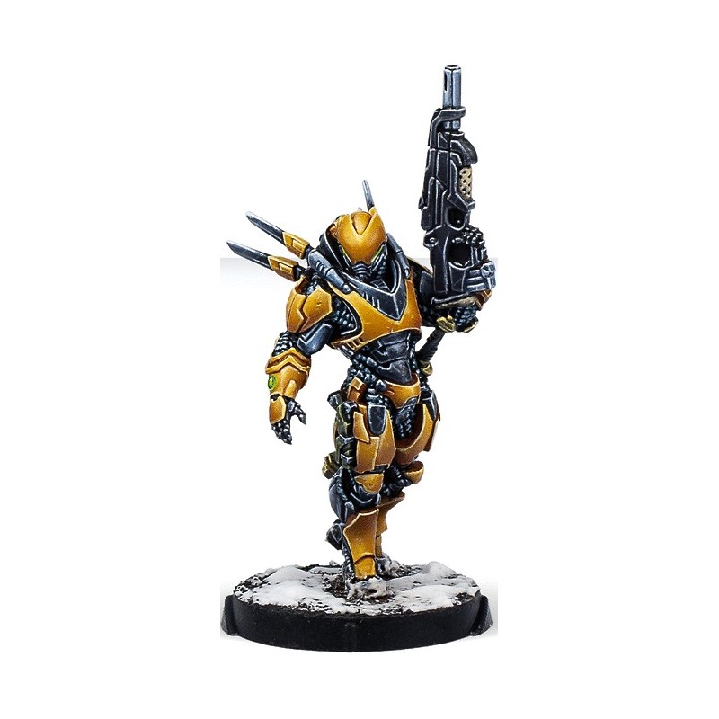 Shang Ji Invincibles - Infinity