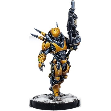 Shang Ji Invincibles - Infinity