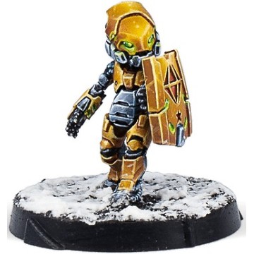 Shang Ji Invincibles - Infinity