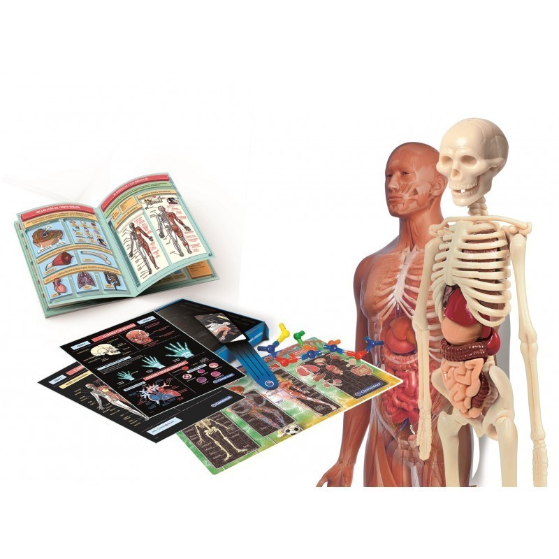 CIENCIA - LABORATORIO DE ANATOMIA