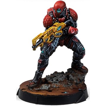 Operation: Crimson Stone - Infinity CodeOne