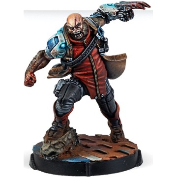 Operation: Crimson Stone - Infinity CodeOne