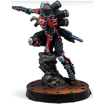 Operation: Crimson Stone - Infinity CodeOne