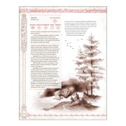 L'Anell únic 2ª ed. - Reialmes dels Tres anells