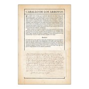 VAESEN - CAJA DE INICIACION