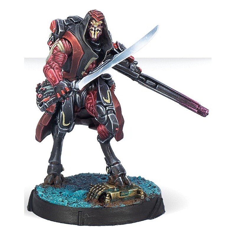 Dire Foes Mission Pack 10: Slave Trophy - Infinity (Inglés)