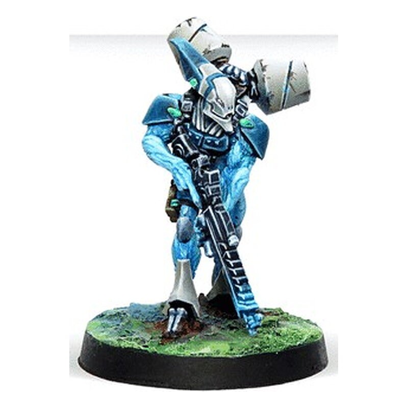 Spiral Corps Army Pack - Infinity CodeOne
