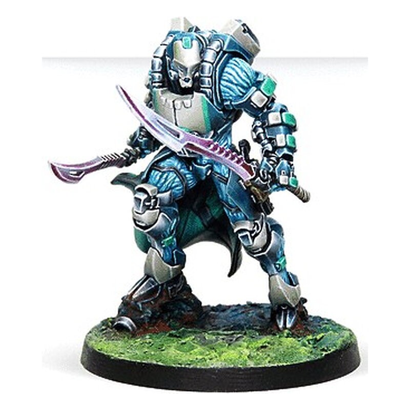 Spiral Corps Army Pack - Infinity CodeOne