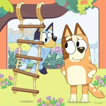 Bluey 3 x 49 pc