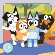 Bluey 3 x 49 pc