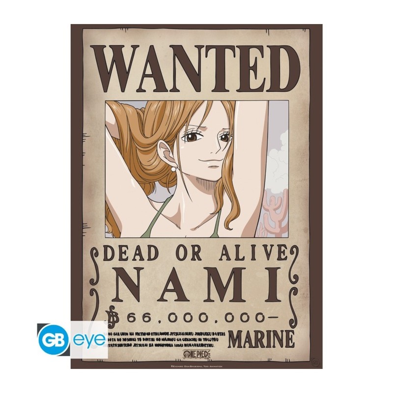 Póster Nami y Robin 52x38 One Piece - ABYstyle