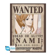 Póster Nami y Robin 52x38 One Piece - ABYstyle