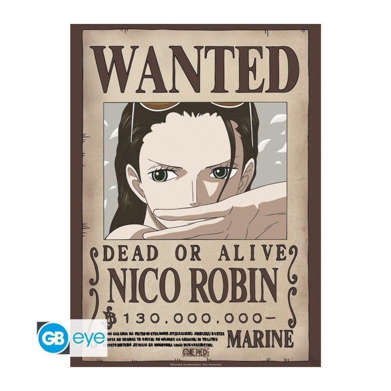 Póster Nami y Robin 52x38 One Piece - ABYstyle