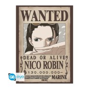 Póster Nami y Robin 52x38 One Piece - ABYstyle