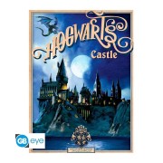 Póster Hogwarts y Callejón Diagon retro 52x38 Harry Potter - ABYstyle