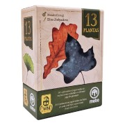 (PREPEDIDO) 13 PLANTAS