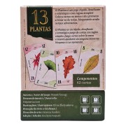 (PREPEDIDO) 13 PLANTAS
