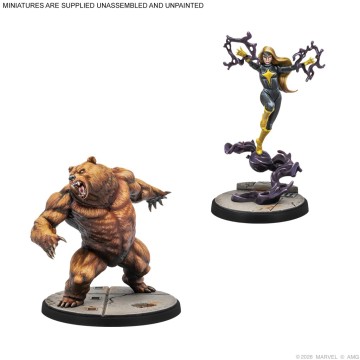 MCP: Winter Guard Affiliation Pack​