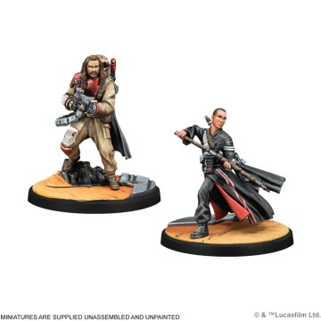 This Is Rogue One Squad Pack