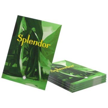 Splendor Art Sleeves