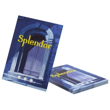 Splendor Art Sleeves