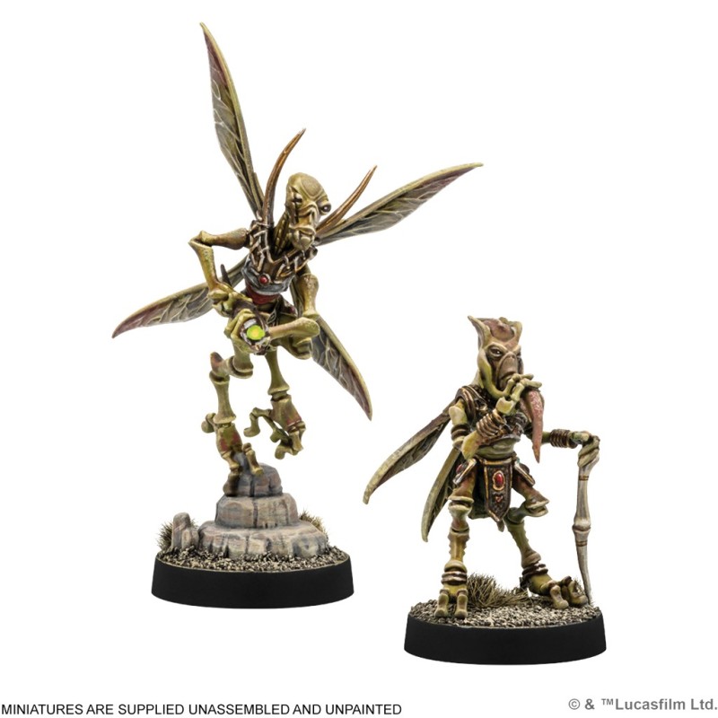 SWL: Sun Fac & Poggle the Lesser