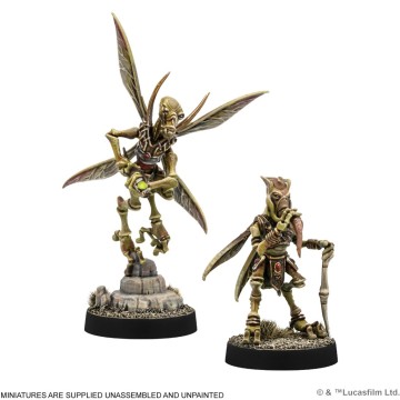 SWL: Sun Fac & Poggle the Lesser