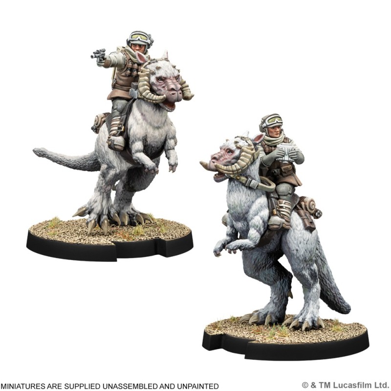 SWL: Tauntaun Riders