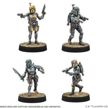SWL: Clan Wren Mandalorians